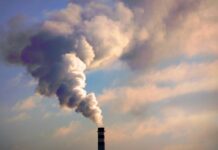 Roadmap for Low Carbon Transition in Textile Industry