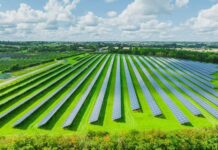 Cotton Voltaics: Merging Agriculture with Solar Energy