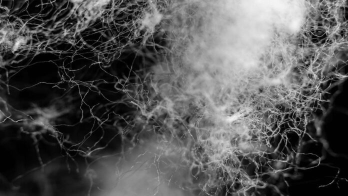 Circ and Selenis Partner for Recycled Polyester Innovation