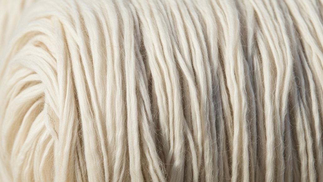 Merino Wool