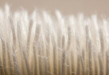 The Evolving Polyester Staple Fibre Market: Key Insights The Evolving Polyester Staple Fibre Market Key Insights