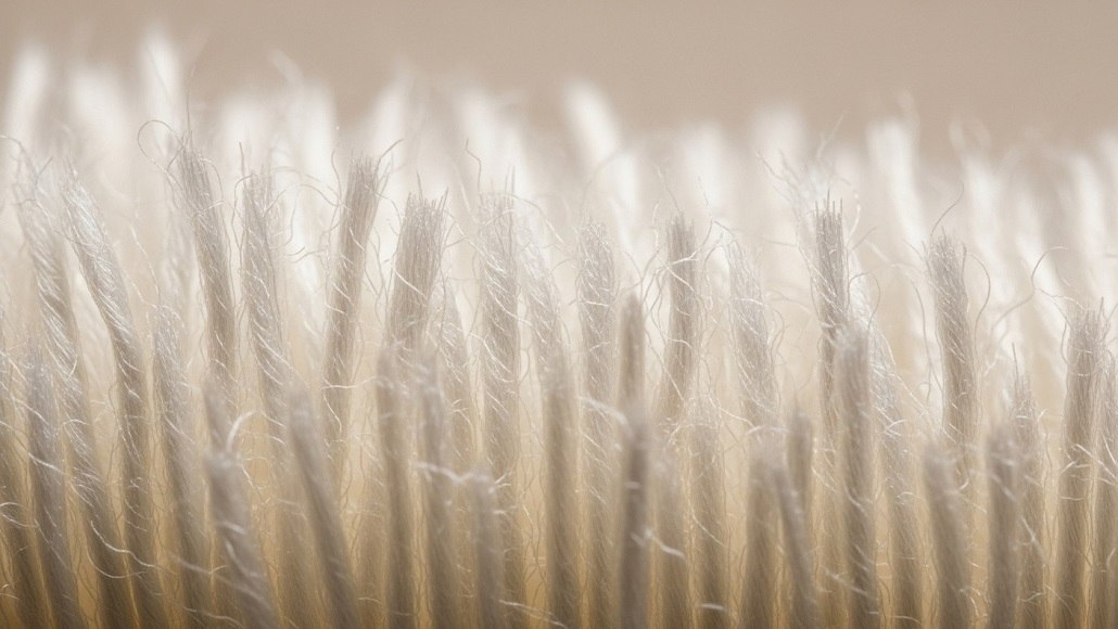 The Evolving Polyester Staple Fibre Market Key Insights