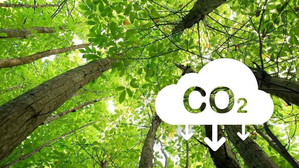 Textile Exchange annual report