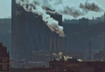 The True Cost of Greenwashing in Textile Supply Chains greenwashing in textile supply chains