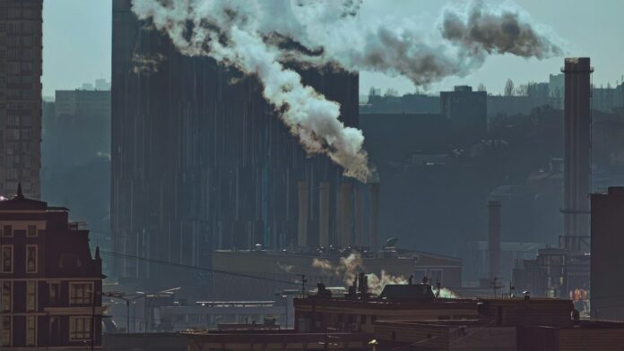 greenwashing in textile supply chains