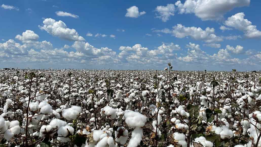 carbon footprint tool for cotton farming