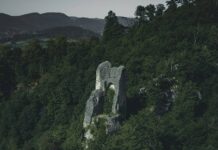 EU Deforestation Law Fashion Grace Period: EUDR 2025 Update EU deforestation law fashion grace period