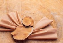 MycoWorks Restructures Business Model to Processing MycoWorks restructures business model