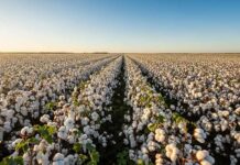 Trump Plans 100% Tariff on China Amid Trade Tensions US China trade tariffs