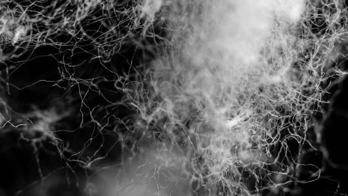 deja Care sustainable fibers