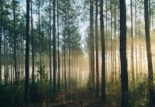 Canopy Welcomes New Members to Pack4Good Initiative Pack4Good initiative