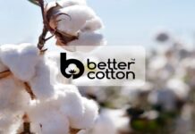 BCI and Planboo Launch Biochar Project for Cotton in India better cotton