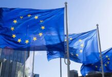 Concerns Rise About State-run PROs in EU EPR Systems State run Producer Responsibility Organisations in the EU