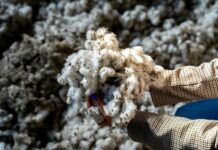 Aid by Trade Doubles Traceable Cotton made in Africa Cotton made in Africa traceability
