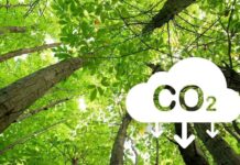 Ineffective Decarbonization in Textile Sector: Cascale Decarbonization in the textile industry