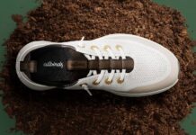 Allbirds Agrees $39m Asset Sale to American Exchange Group