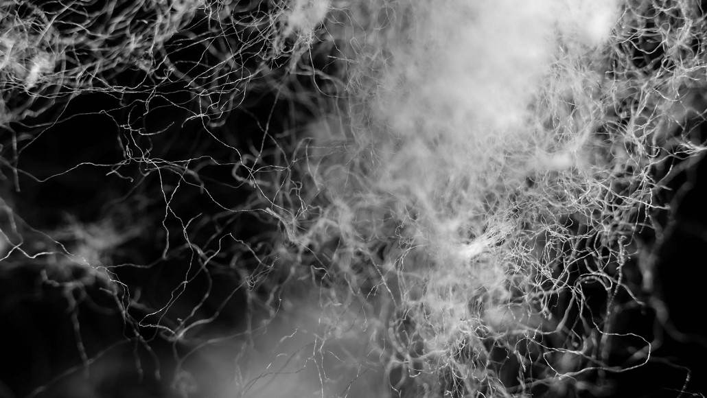 Close-up of tangled white fibers or filaments forming an abstract texture against a dark background.