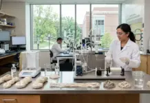 Washington University Team Pioneers Protein-Based Textile Fibers with Rapid, Repeatable Recycling Female scientist in a white lab coat operates a reactor setup on a stainless steel bench, with another researcher at a computer in the background.