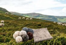 The Revival of Scottish Wool: Rising Demand and Why Shetland Wool Leads the UK Market Rolling green hills with a flock of sheep grazing; in the foreground are skeins of yarn and a knitted rug/blanket.