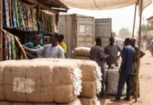 US Cotton Exports Debate Shapes Future of AGOA Trade Policies US Cotton Exports Debate Shapes Future of AGOA Trade Policies
