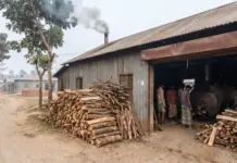 Bangladesh Textile Factories Turn to Firewood as Gas Shortage and Rising Jhut Prices Bite Hard Bangladesh Textile Factories Turn to Firewood as Gas Shortage and Rising Jhut Prices Bite Hard