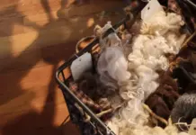 British Wool Prices Reach Decade High Amid Global Supply Constraints British-Wool