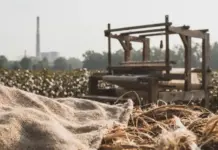 Carbon Credits & Textile Emissions: Can Fashion Go Green? Carbon Credits & Textile Emissions: Can Fashion Go Green?